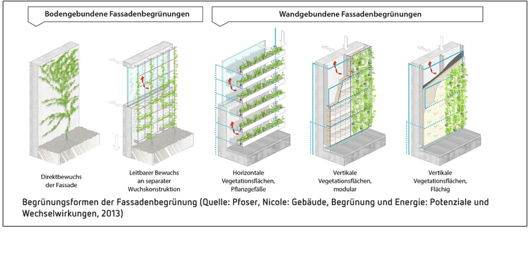 Vertikalbegrünungen